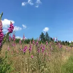 Wahl *
